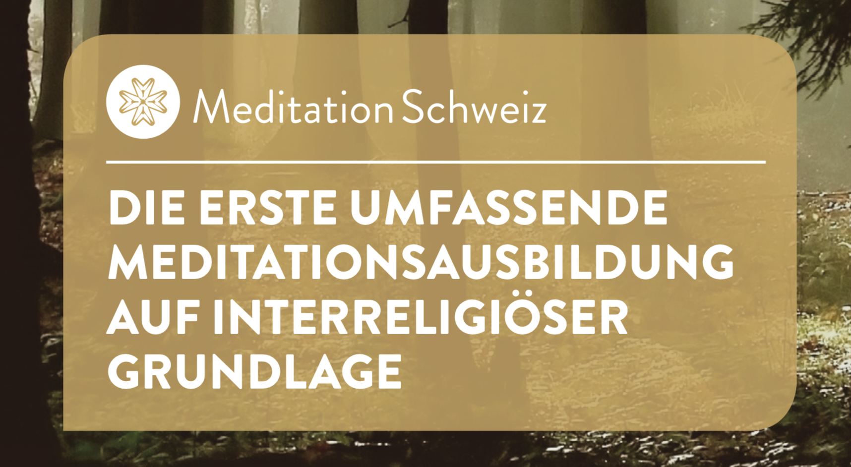 Meditation Schweiz